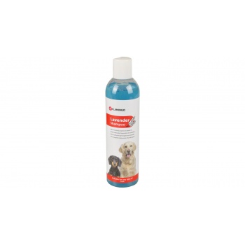 product_img9
