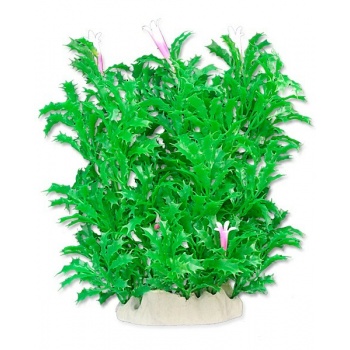 product_img9