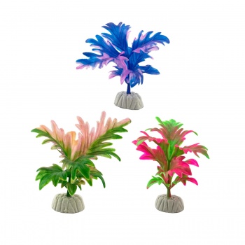 product_img9