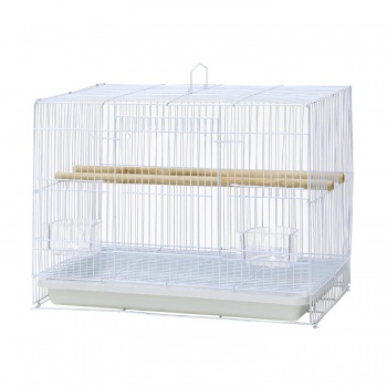product_img9