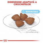 product_img3
