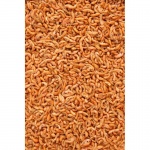 product_img0