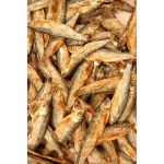 product_img0