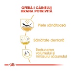 product_img2