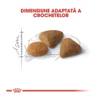 product_img3