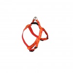 product_img0