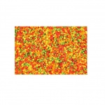 product_img0