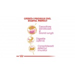 product_small_img3