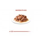 product_img0