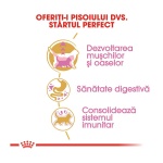 product_small_img3