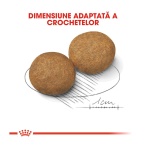 product_img3