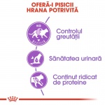 product_small_img4