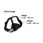 product_img2