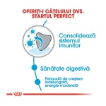 product_img0