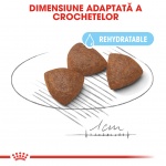 product_img3