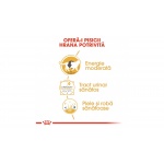 product_img2